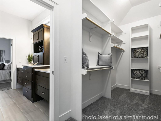 Spacious closet featuring carpet flooring