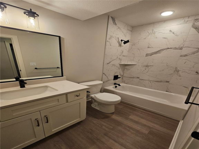 Lower level bathroom